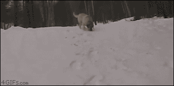 passeio na neve em ushuaia