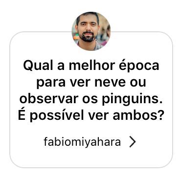 Qual a melhor época para ver neve ou observar os pinguins? É possível ver ambos?