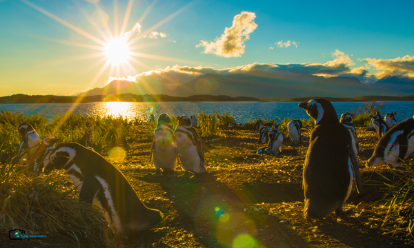 verao ushuaia