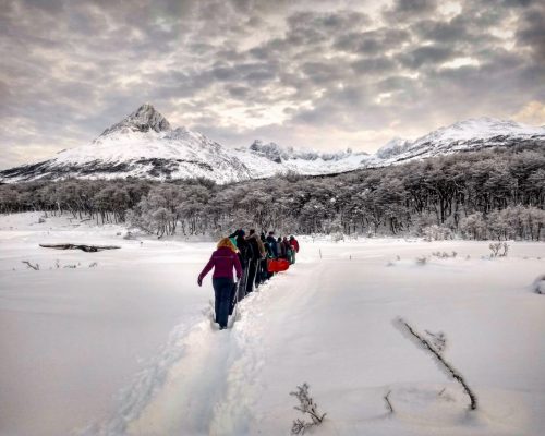 Paraíso no inverno: 3 passeios em grupo para fazer em Ushuaia