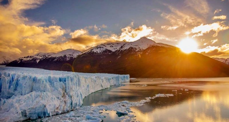 Calafate