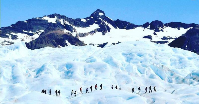 calafate