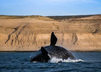 Portal Buskaki apresenta novos destinos da Patagonia Argentina | Brasileiros em Ushuaia