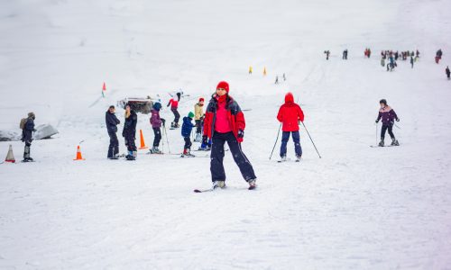 Ski & Snowboard (11)