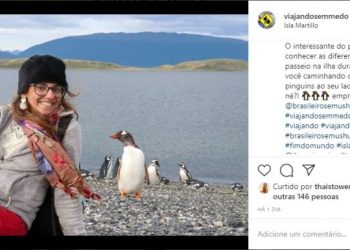 Pinguins em Ushuaia Blog Viajando Se Medo conhece Ushuaia | Brasileiros em Ushuaia