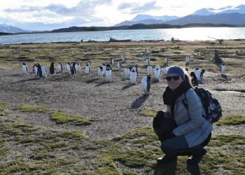 Bruna Bartolomei com Pinguins - Blog Contanto as Horas conhece Ushuaia | Brasileiros em Ushuaia