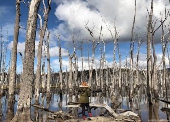 Tais - Blog Guia Mundo Afora | Brasileiros em Ushuaia